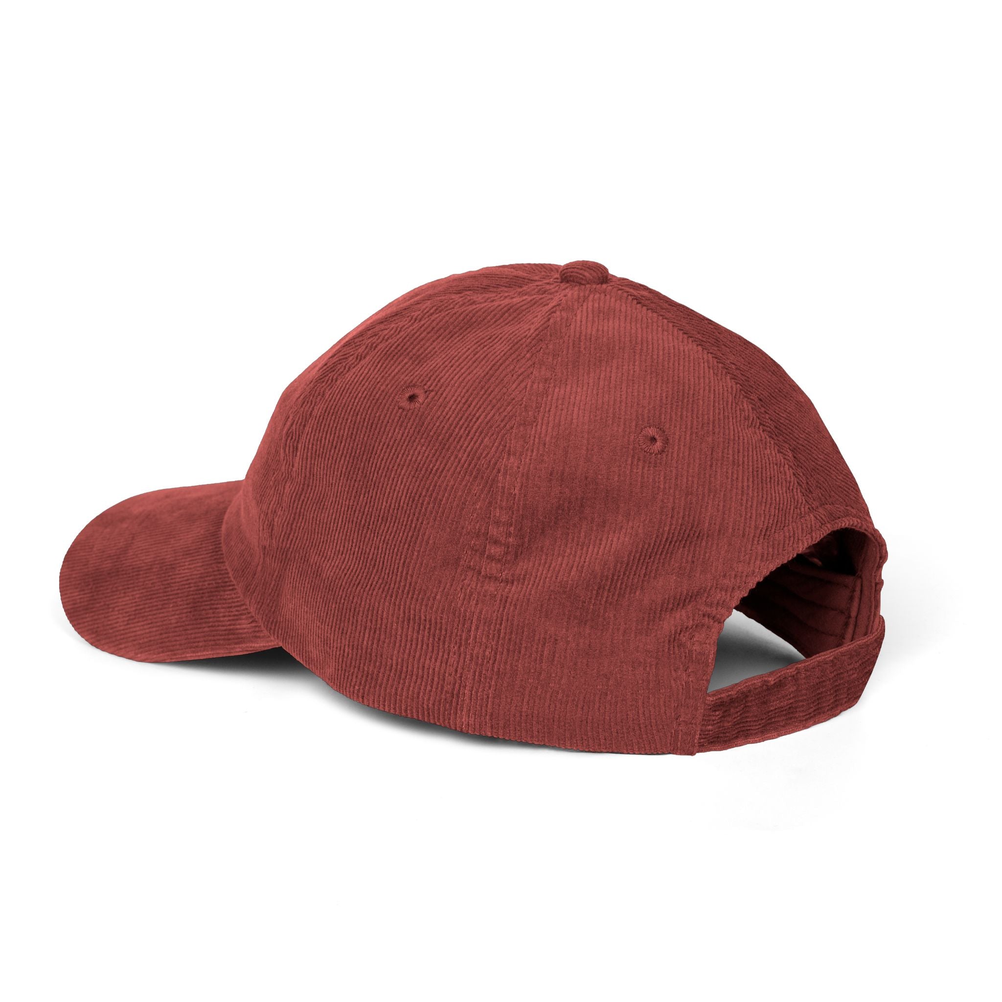 Well-Read Corduroy Cap – Vintage Embroidered Bookish Hat | Gift for Readers