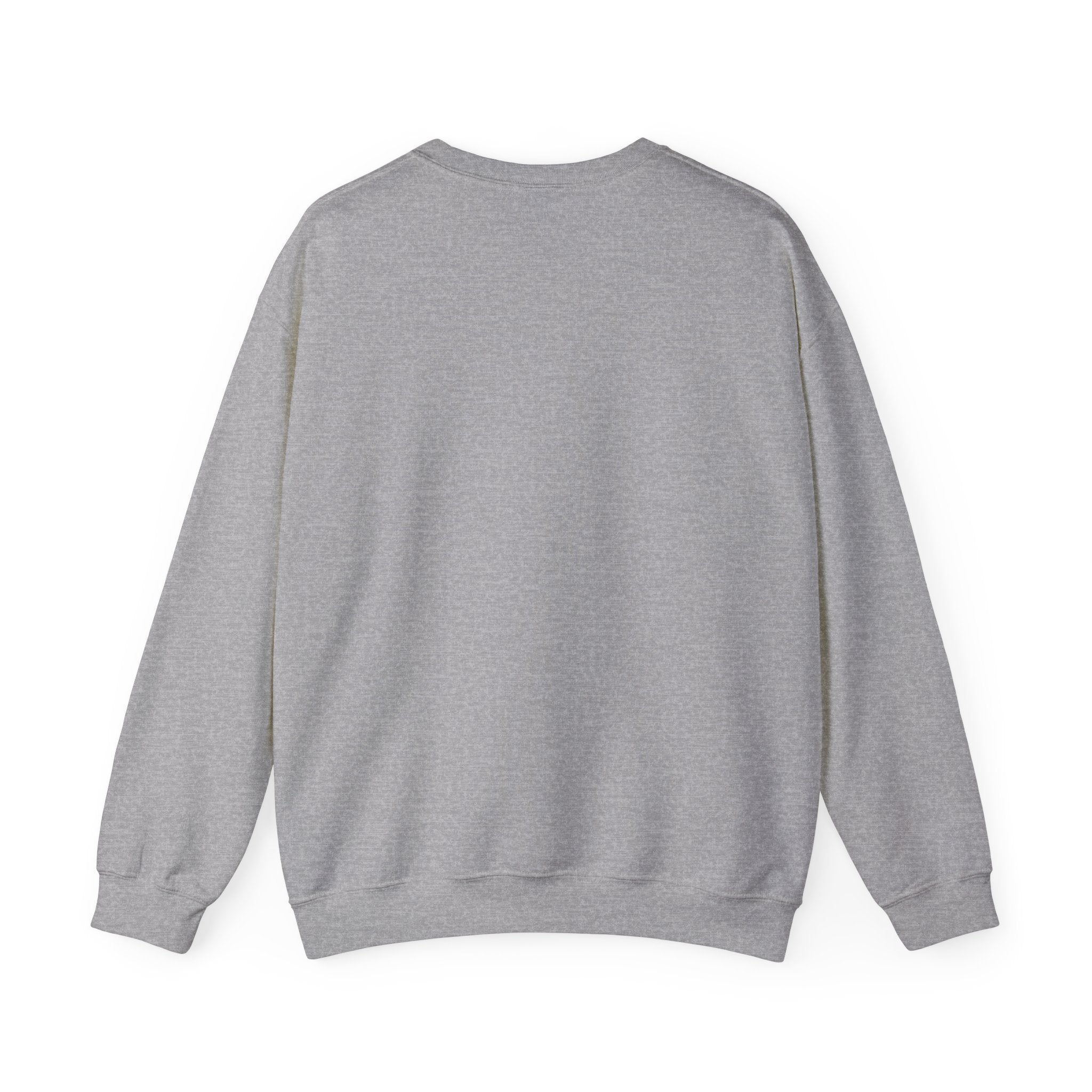 So Many Books So Little Time Sweatshirt – Bookish Crewneck for Readers | Gift for Book Lovers